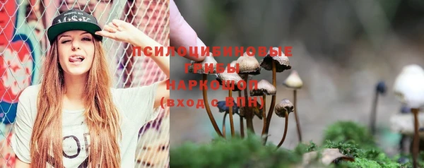 стафф Михайлов