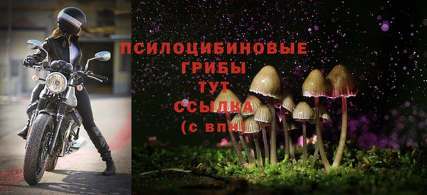винт Михайловск