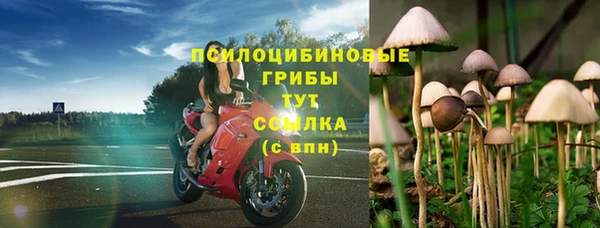 винт Михайловск