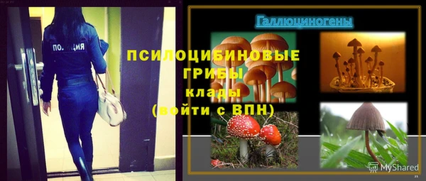 стафф Михайлов