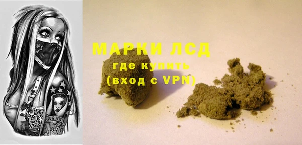 стафф Михайлов